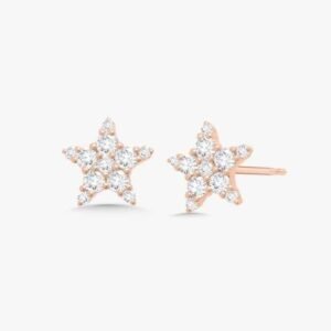 Midnight Star Stud Earrings